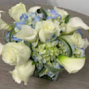 Meet your Posher, Wendy